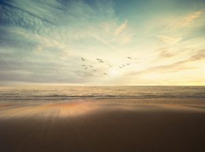 Seaside Inspiration