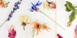 Natural Therapies